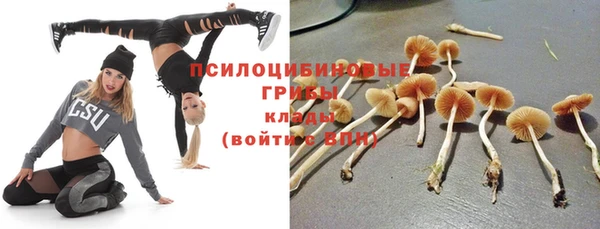 spice Балахна