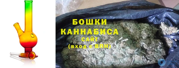 прущие грибы Баксан